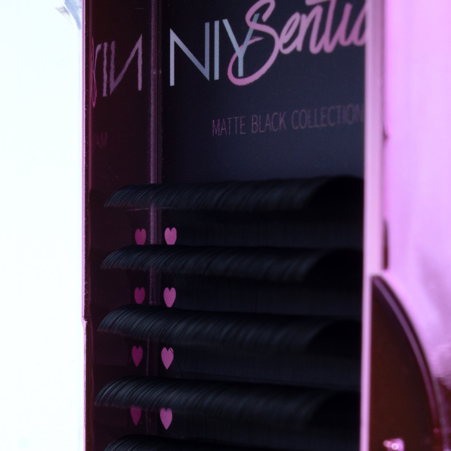 Volume Tray D Curl